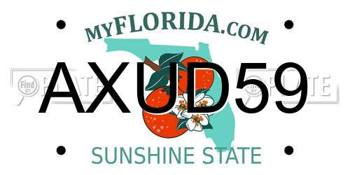 AXUD59 Florida License Plate
