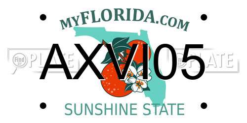 AXVI05 Florida License Plate