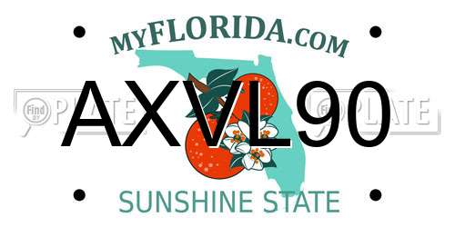 AXVL90 Florida License Plate