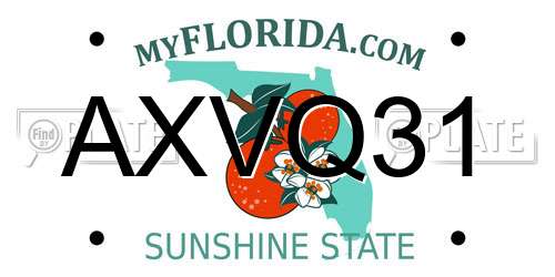 AXVQ31 Florida License Plate