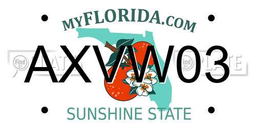 AXVW03 Florida License Plate