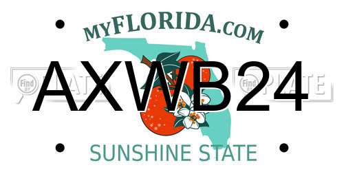 AXWB24 Florida License Plate