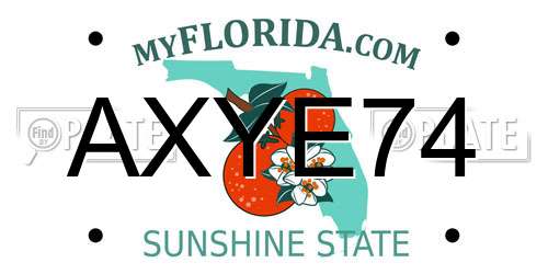 AXYE74 Florida License Plate
