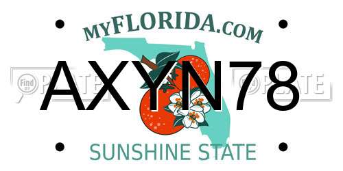 AXYN78 Florida License Plate