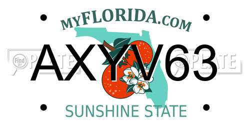 AXYV63 Florida License Plate