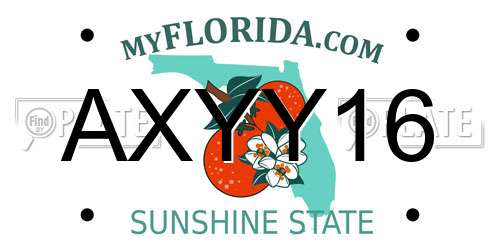 AXYY16 Florida License Plate