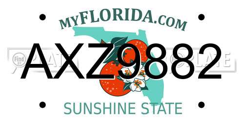 AXZ9882 Florida License Plate