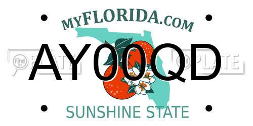 AY00QD Florida License Plate