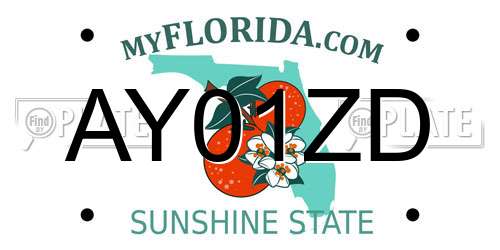 AY01ZD Florida License Plate
