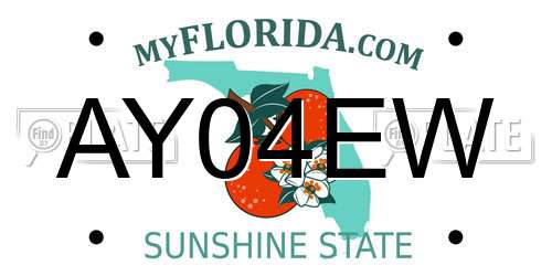 AY04EW Florida License Plate