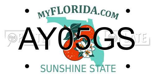 AY05GS Florida License Plate
