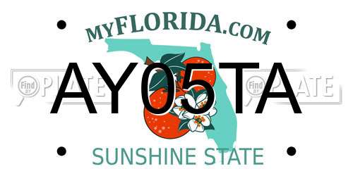 AY05TA Florida License Plate