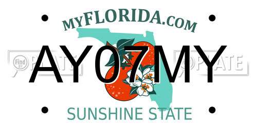 AY07MY Florida License Plate