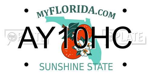 AY10HC Florida License Plate