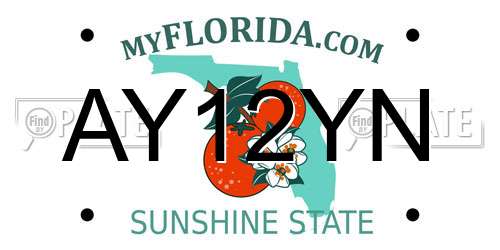 AY12YN Florida License Plate