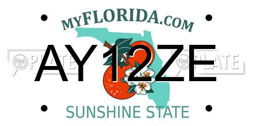 AY12ZE Florida License Plate