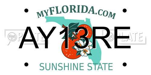 AY13RE Florida License Plate