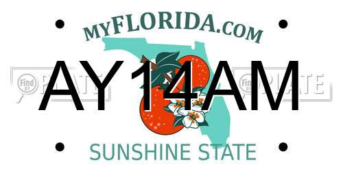 AY14AM Florida License Plate