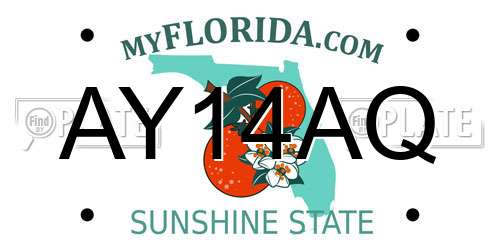 AY14AQ Florida License Plate