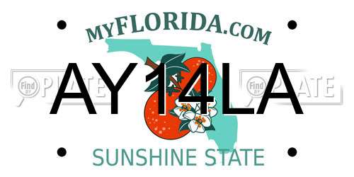 AY14LA Florida License Plate