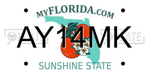AY14MK Florida License Plate