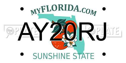 AY20RJ Florida License Plate