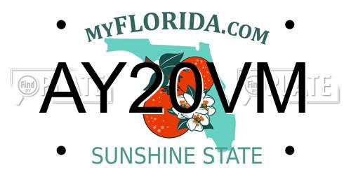 AY20VM Florida License Plate