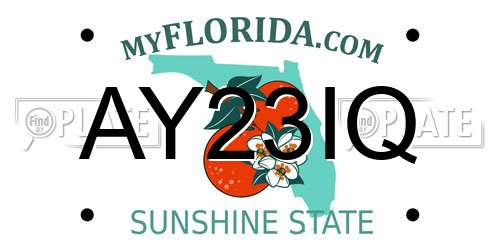 AY23IQ Florida License Plate