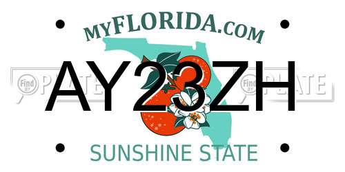 AY23ZH Florida License Plate