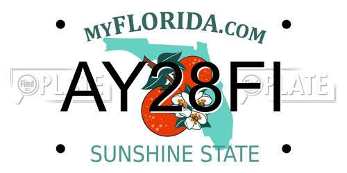 AY28FI Florida License Plate