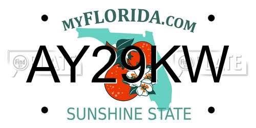 AY29KW Florida License Plate