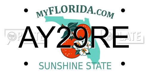 AY29RE Florida License Plate