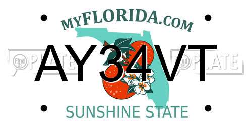 AY34VT Florida License Plate