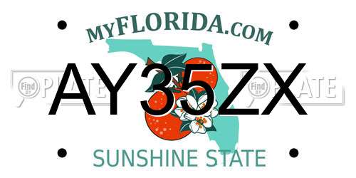 AY35ZX Florida License Plate