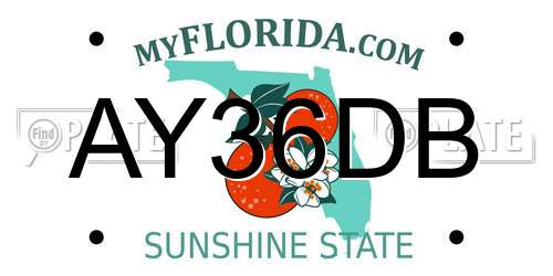 AY36DB Florida License Plate