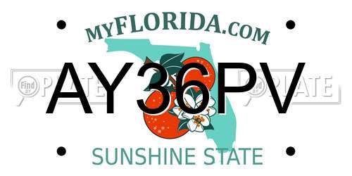 AY36PV Florida License Plate