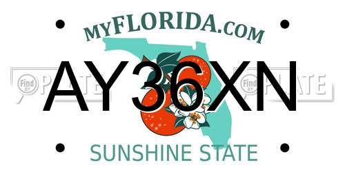 AY36XN Florida License Plate