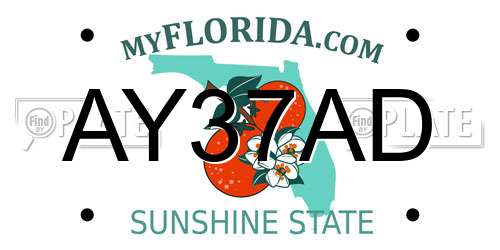 AY37AD Florida License Plate