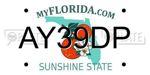 AY39DP Florida License Plate