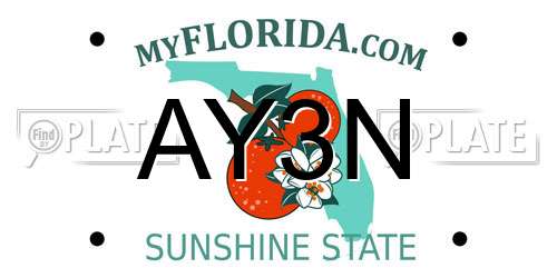 AY3N Florida License Plate