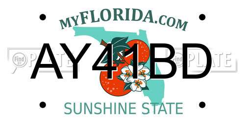 AY41BD Florida License Plate