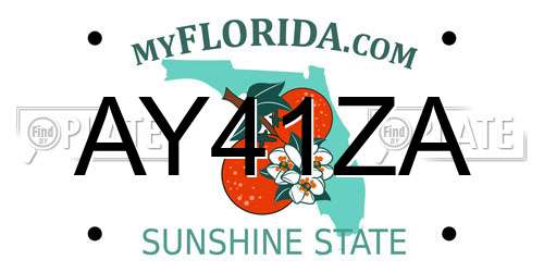 AY41ZA Florida License Plate