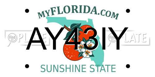 AY43IY Florida License Plate