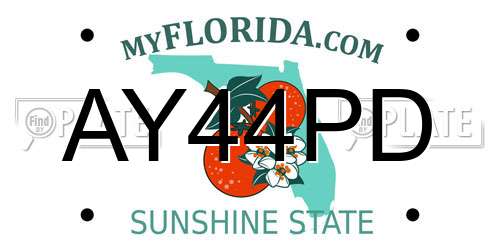 AY44PD Florida License Plate