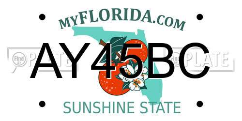 AY45BC Florida License Plate