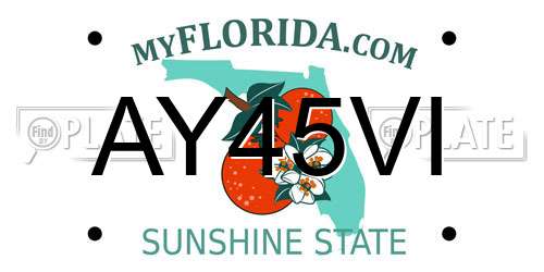 AY45VI Florida License Plate