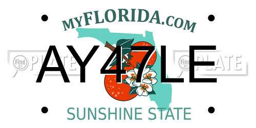 AY47LE Florida License Plate