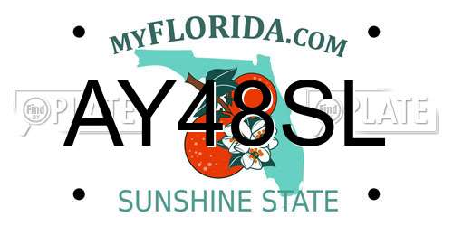 AY48SL Florida License Plate