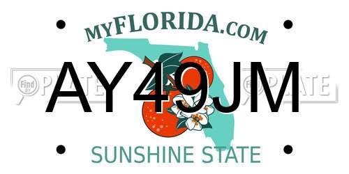 AY49JM Florida License Plate