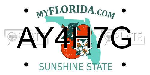 AY4H7G Florida License Plate